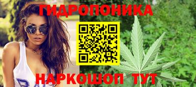 гидропоника Можайск