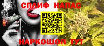 гидропоника Можайск