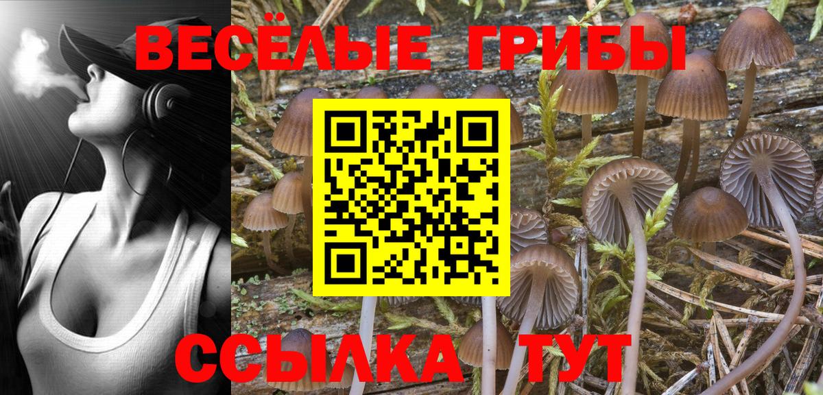 Галлюциногенные грибы Magic Shrooms Сухой Лог
