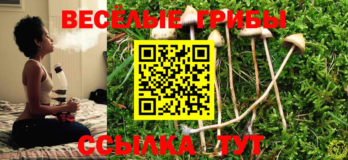 Псилоцибиновые грибы Magic Shrooms  Вход с VPN  Псилоцибиновые грибы Psilocybe  Сухой Лог 